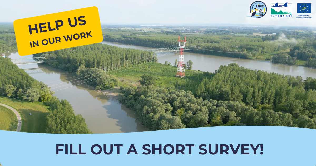 HELP US IN OUR WORK: FILL OUT A SHORT SURVEY!